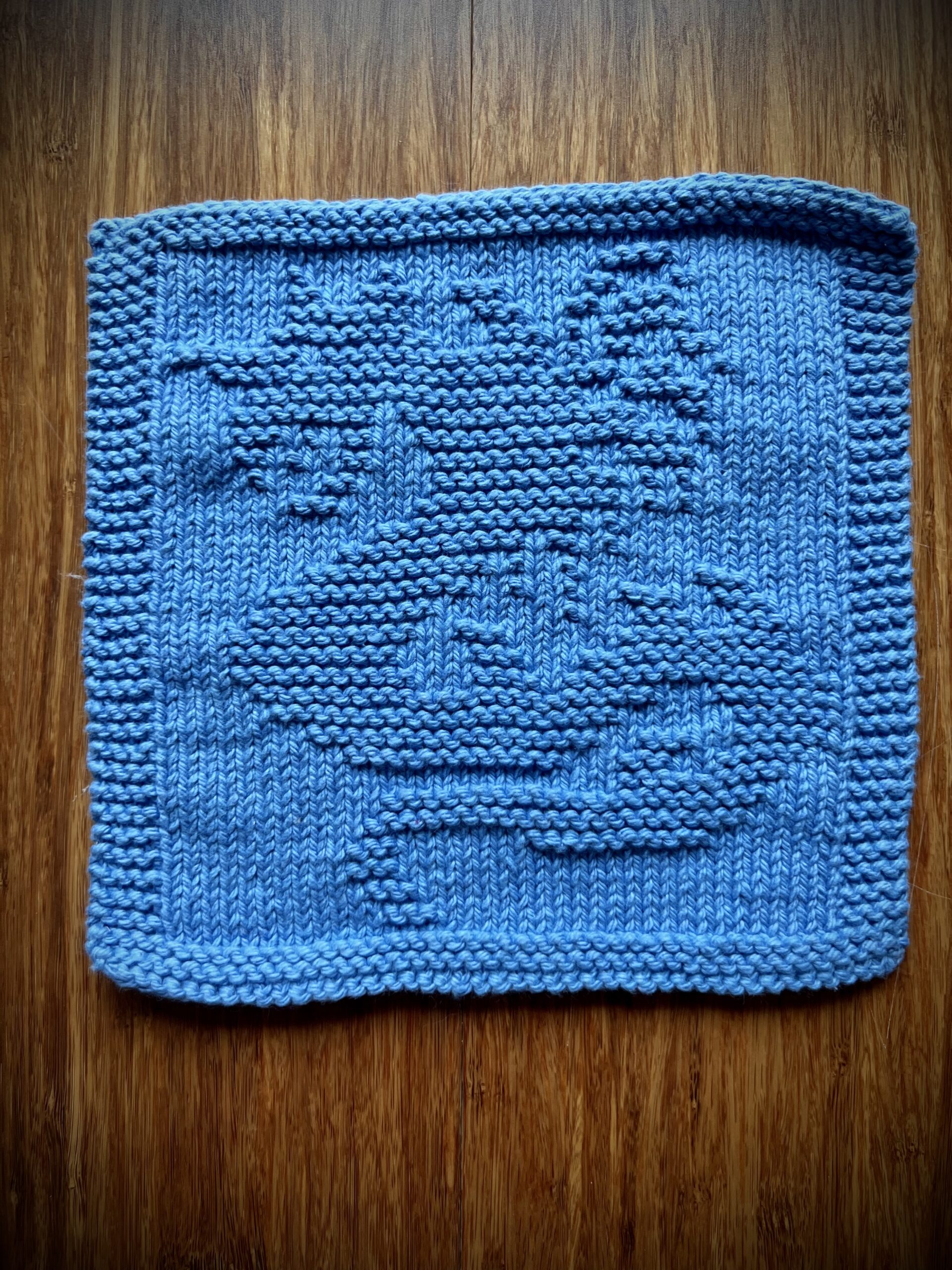 Blue Dragon dish / wash cloth