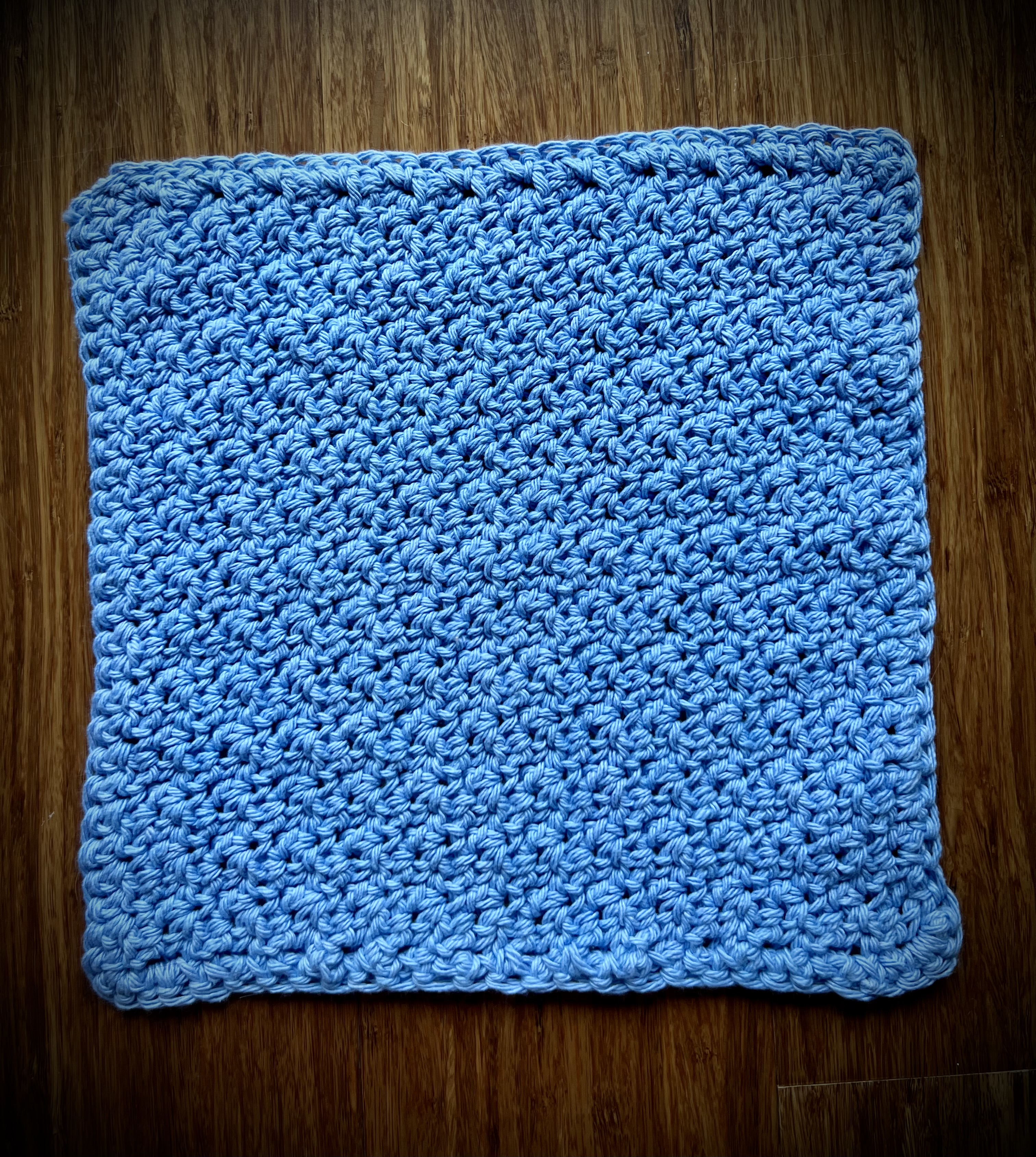 Periwinkle dish / wash cloth